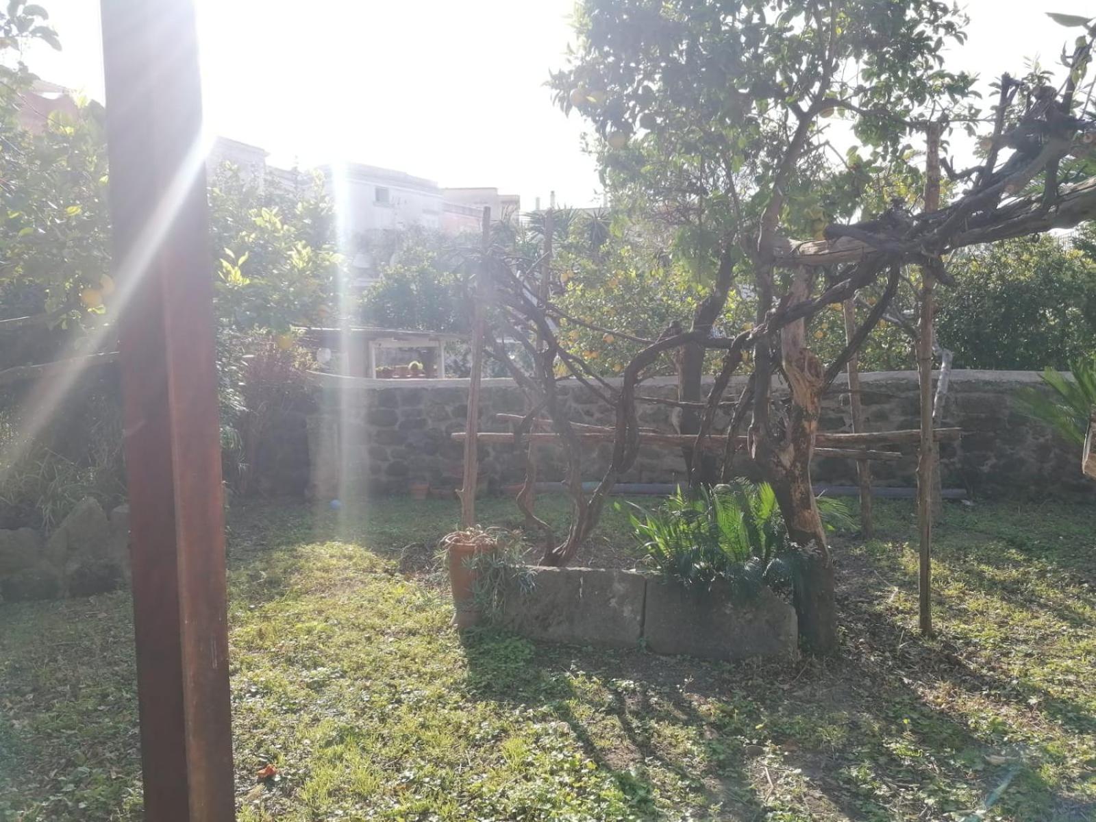 Dimora Coloniale B&B Forio  ภายนอก รูปภาพ