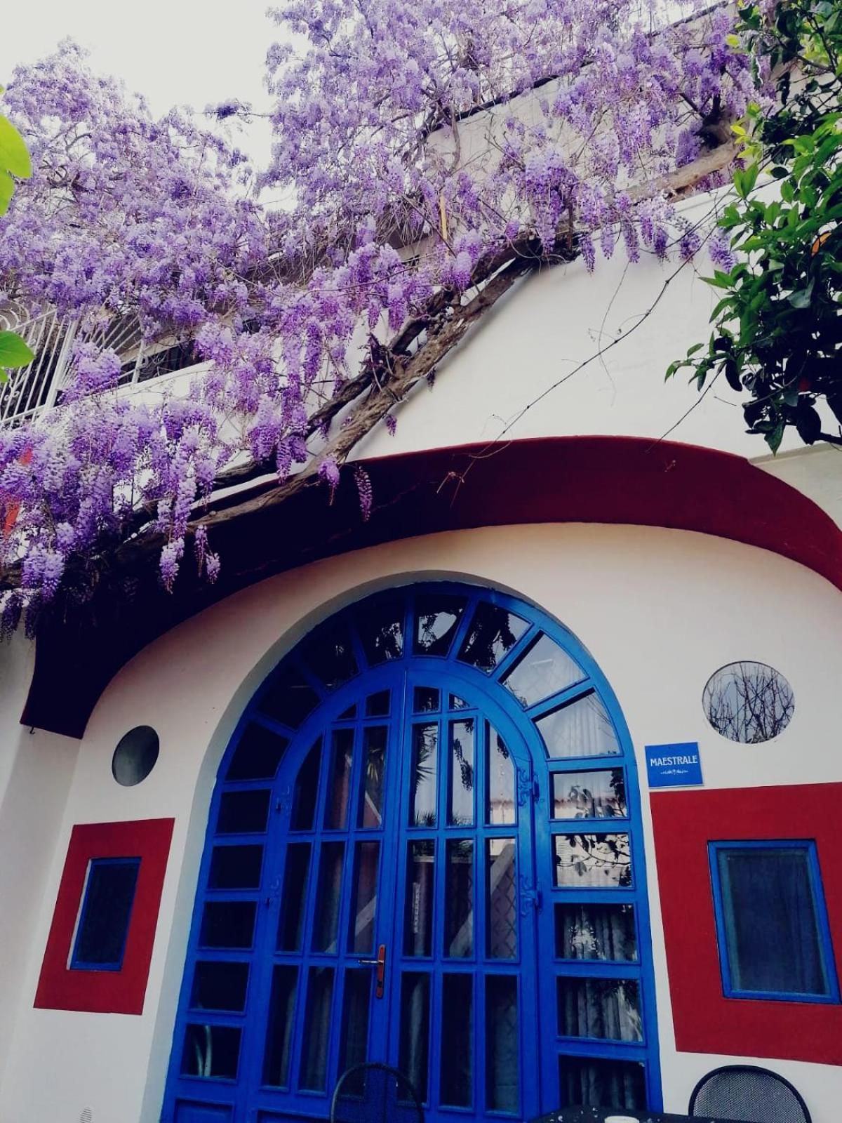 Dimora Coloniale B&B Forio  ภายนอก รูปภาพ